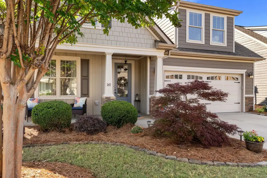 347 Belle Oaks Drive, Simpsonville, SC 29680 - #3