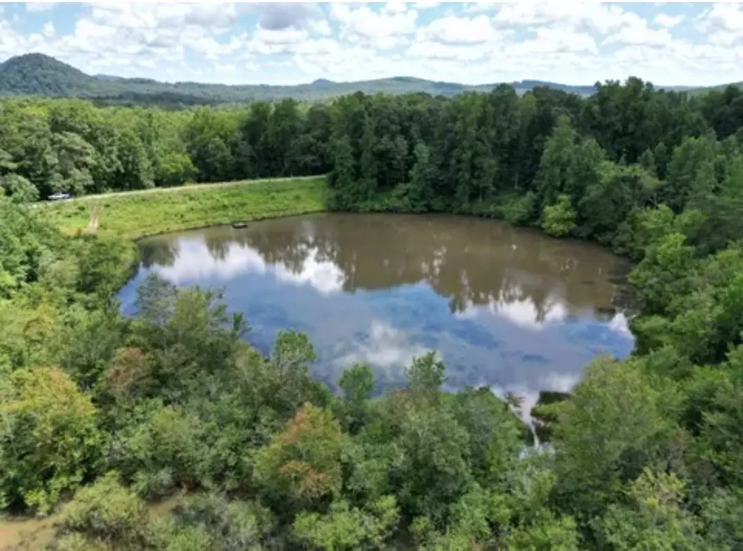 105 Right Fork Rd, Pickens, SC 29671 - #1