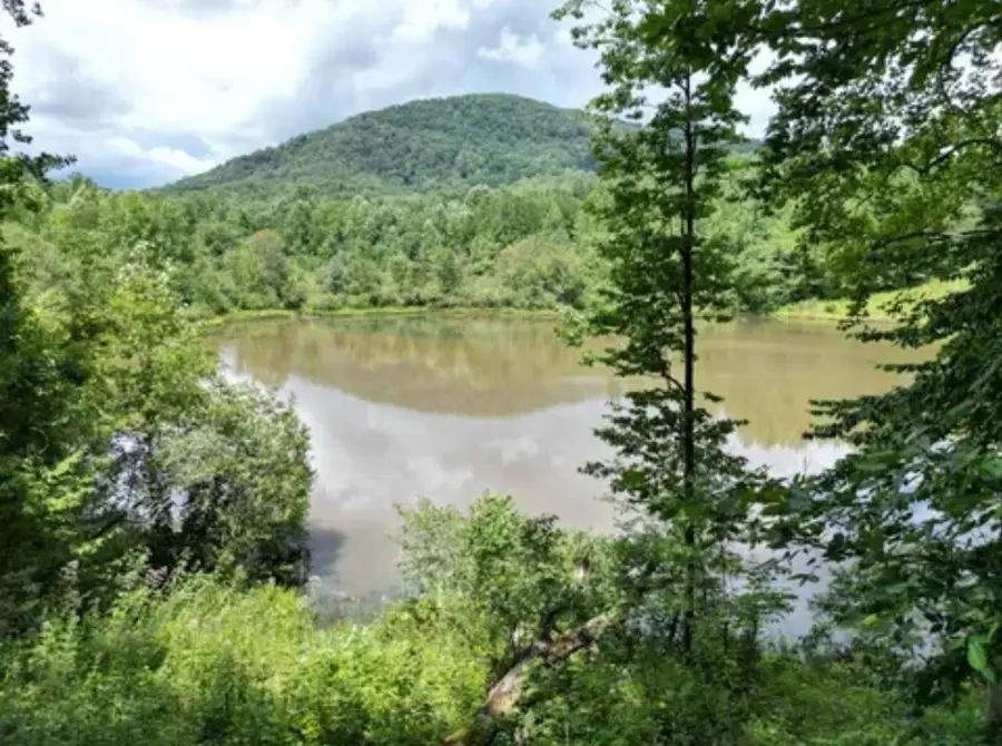 105 Right Fork Rd, Pickens, SC 29671 - #2