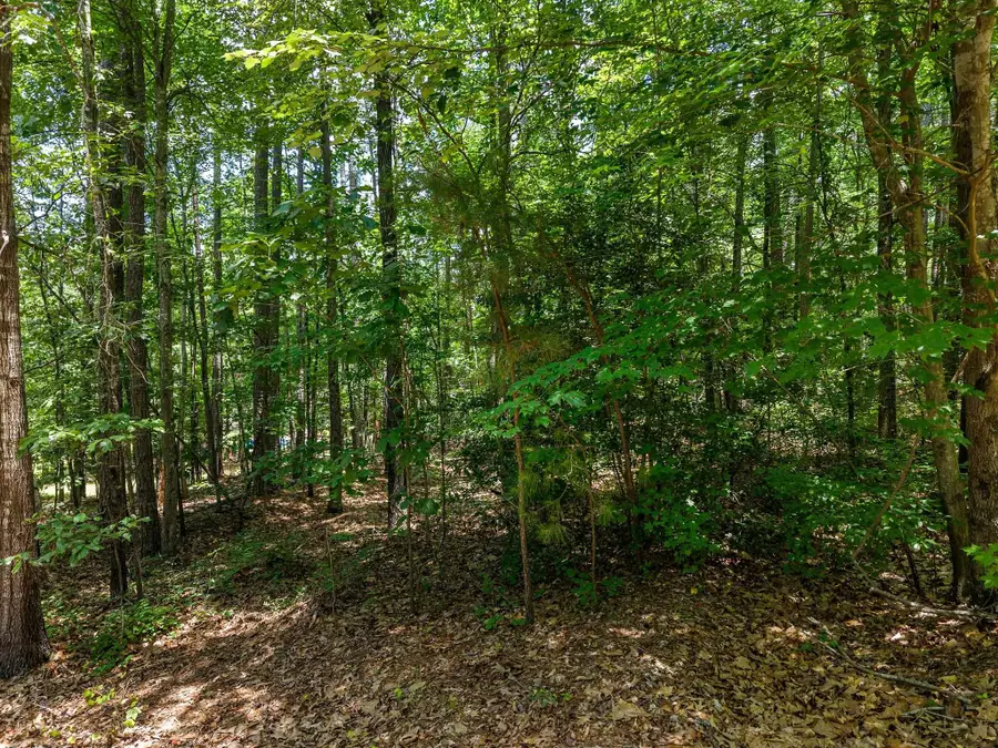 190 Longleaf Dr, Spartanburg, SC 29302 - #3