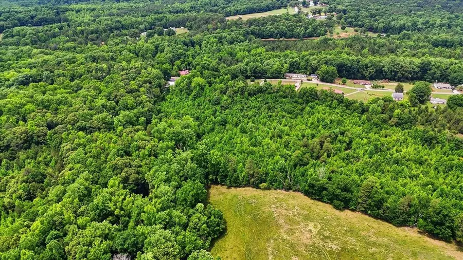 00 Woodville Road, Pelzer, SC 29669 - #2