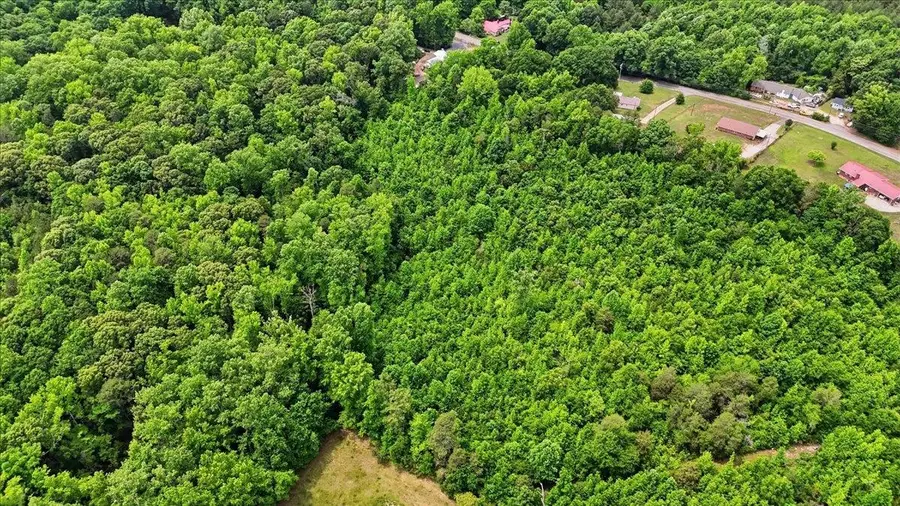 00 Woodville Road, Pelzer, SC 29669 - #3