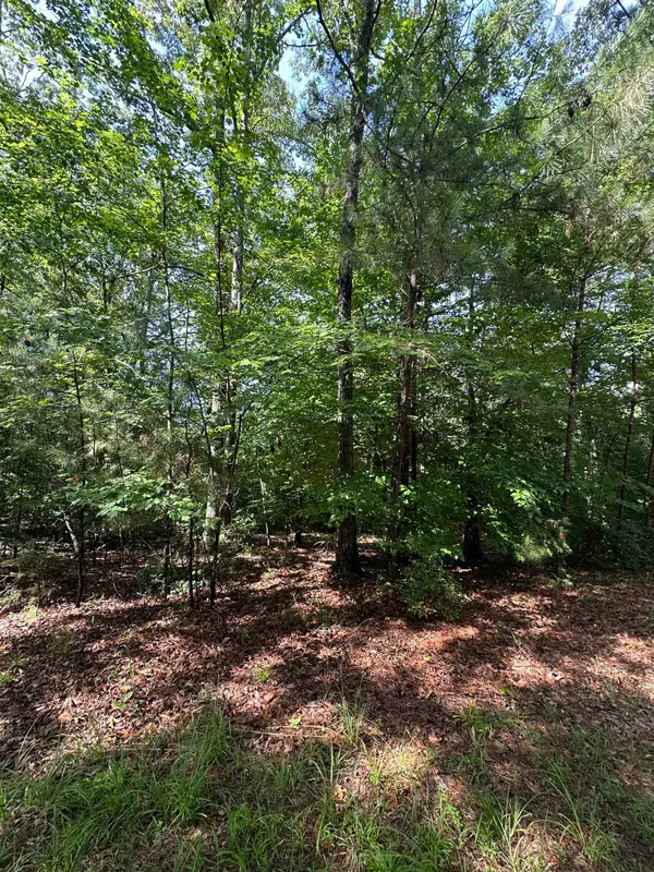 Old Buncombe Road, Union, SC 29379