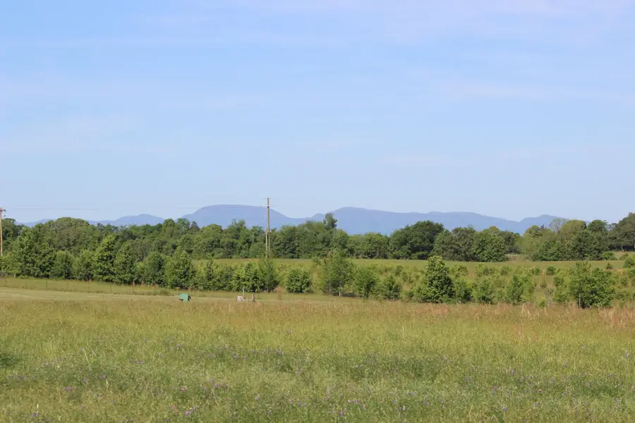 Lot 3 Ted Smith Road, Rutherfordton, NC 28139 - #2