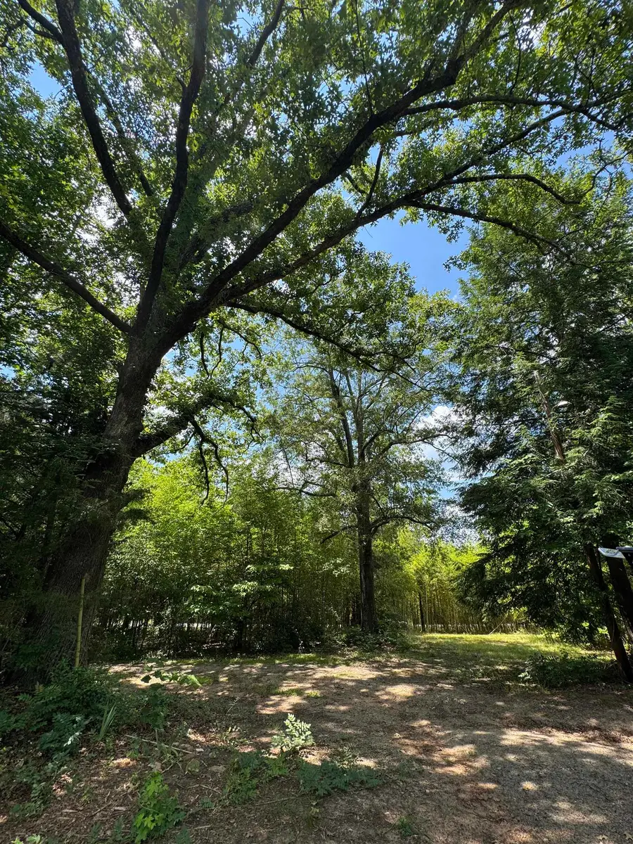 246 Lee Road, Jonesville, SC 29353 - #3