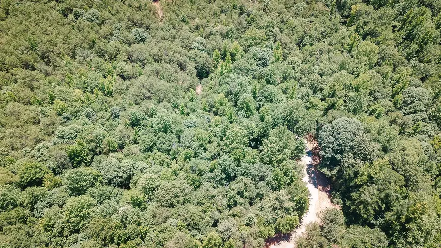 2109 Tract B Riddle Road, Pauline, SC 29374 - #3