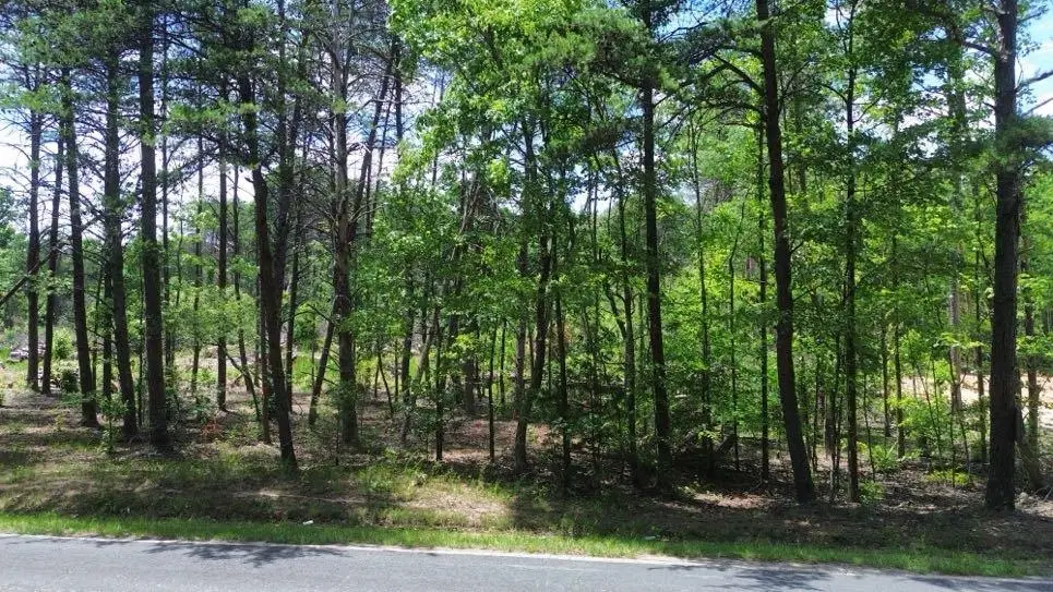 726 Goucher Green Bethel Rd, Gaffney, SC 29340 - #1