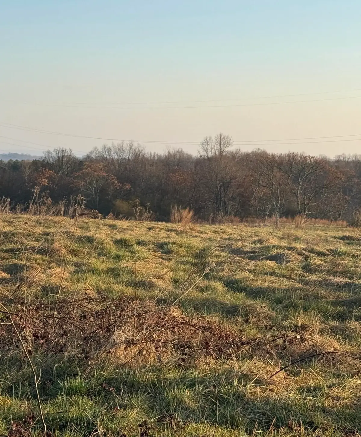 Carolina Ridge Rd Lot 11, Gaffney, SC 29341 - #1