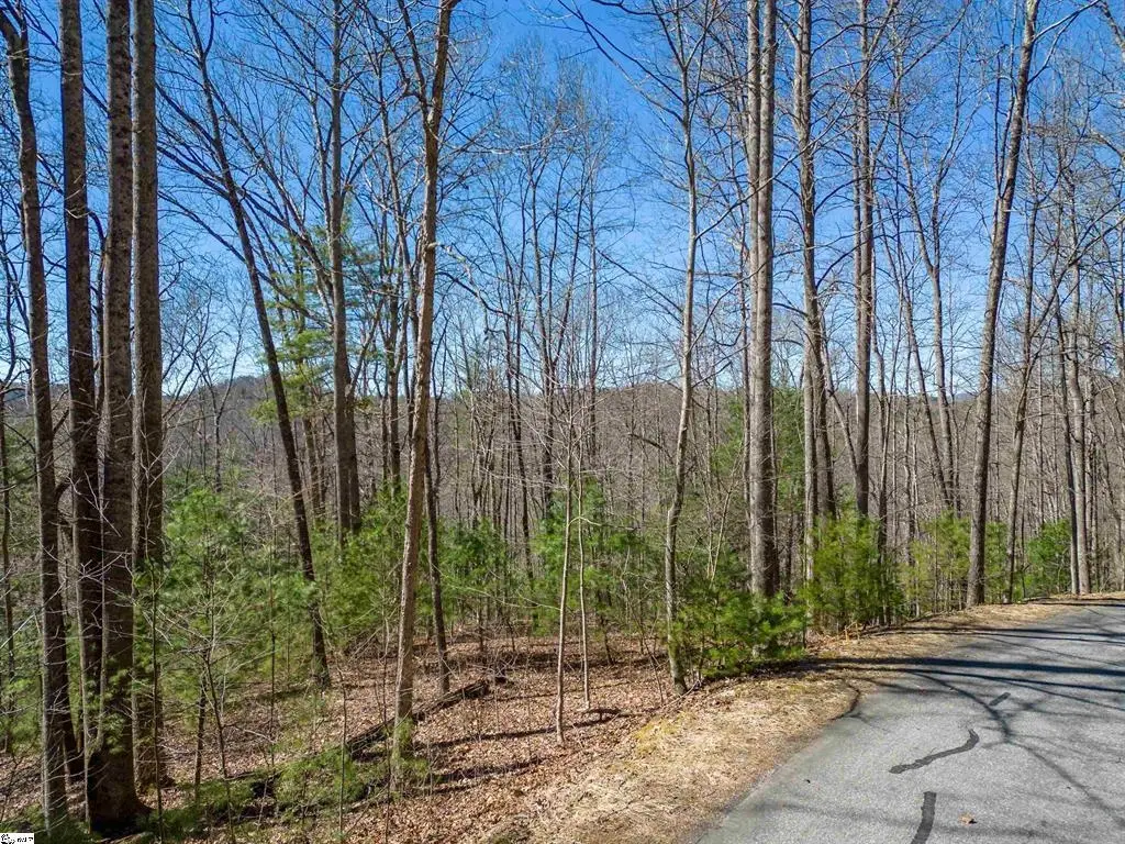 132 Overlook Park Drive, Hendersonville, NC 28792 - #1