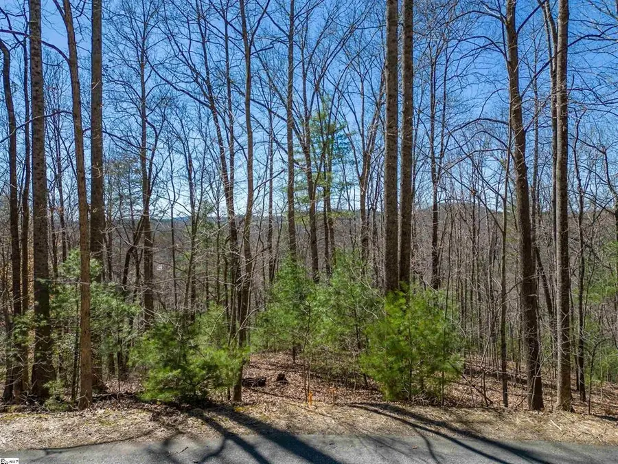 132 Overlook Park Drive, Hendersonville, NC 28792 - #2