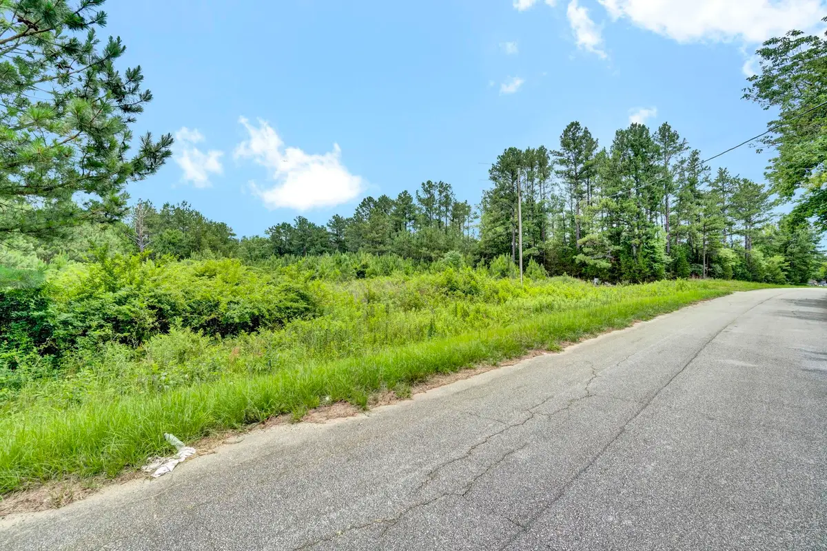 00 Stomp Springs Drive, Clinton, SC 29325 - #1