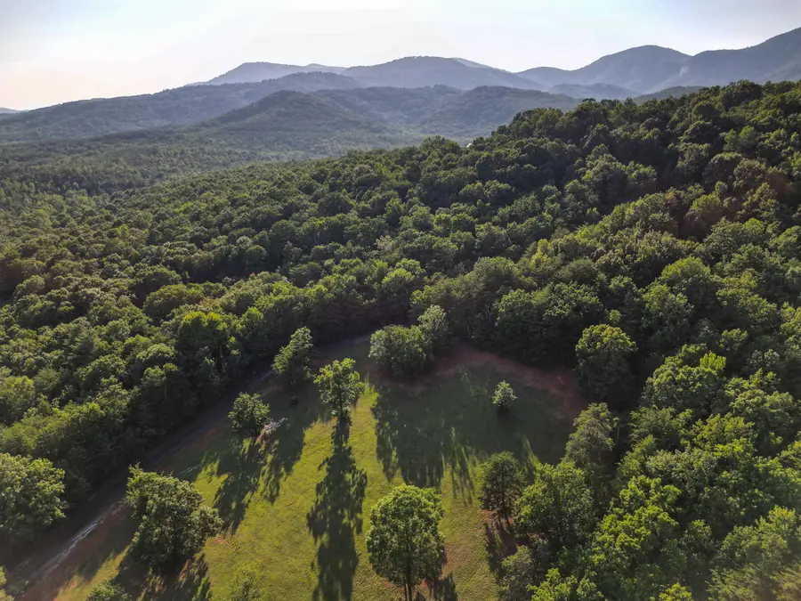 10 Knob Hill Lane, Landrum, SC 29356 - #3