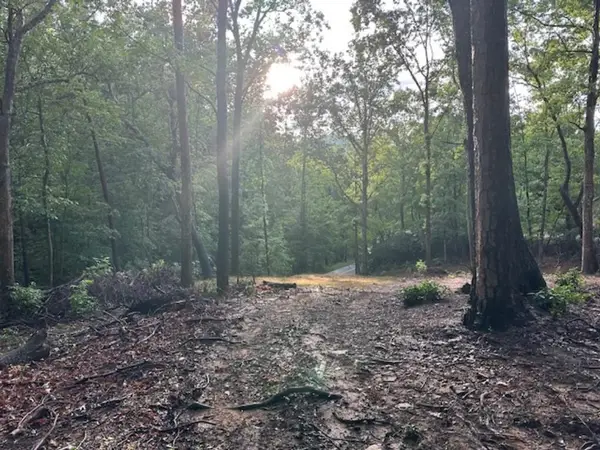 00 E Lakeshore Drive, LANDRUM, SC 29356