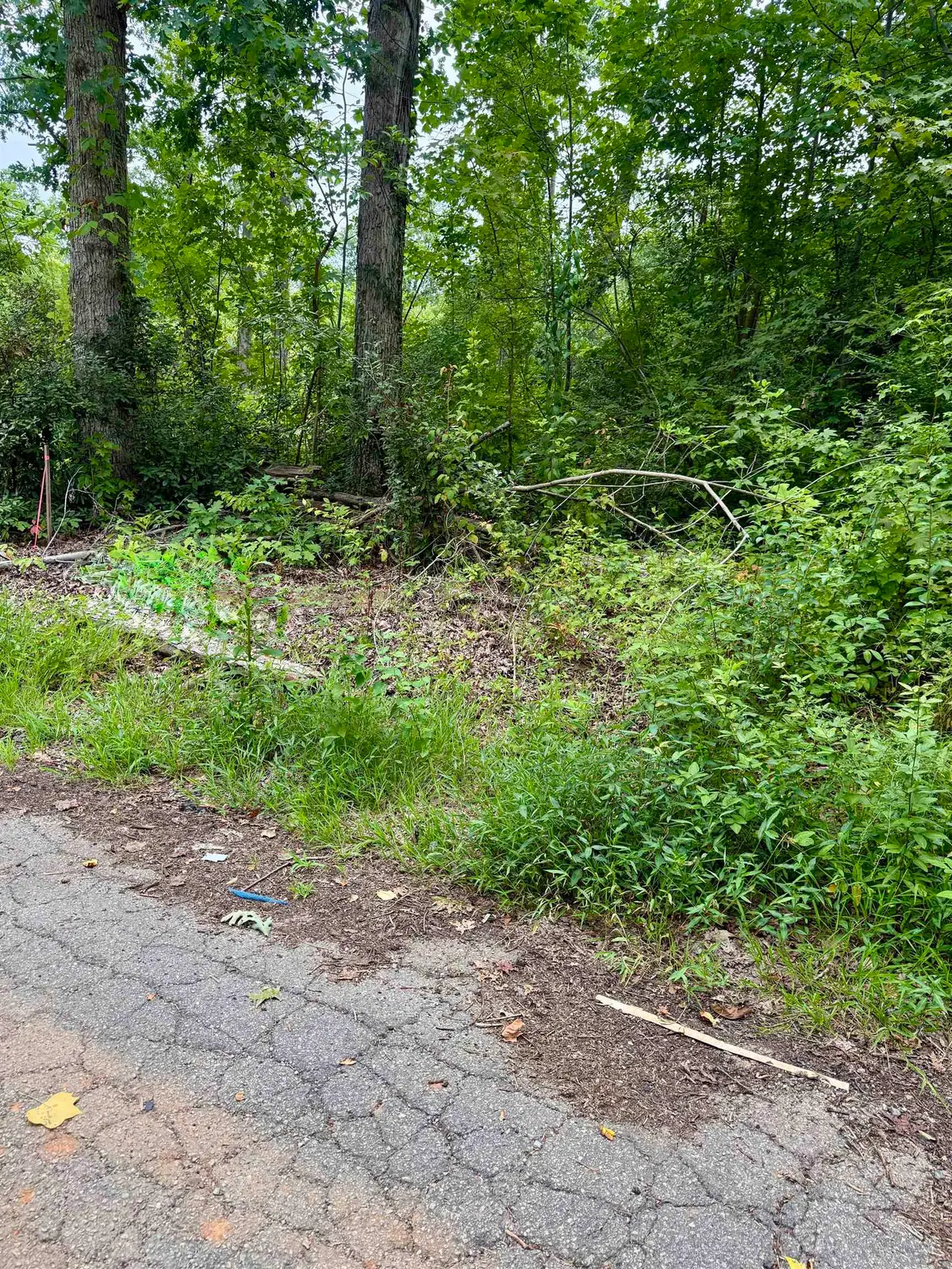 139 George Street, Spartanburg, SC 29306 - #1