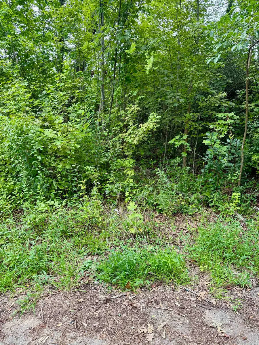139 George Street, Spartanburg, SC 29306 - #2