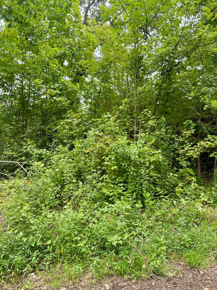 139 George Street, Spartanburg, SC 29306 - #3