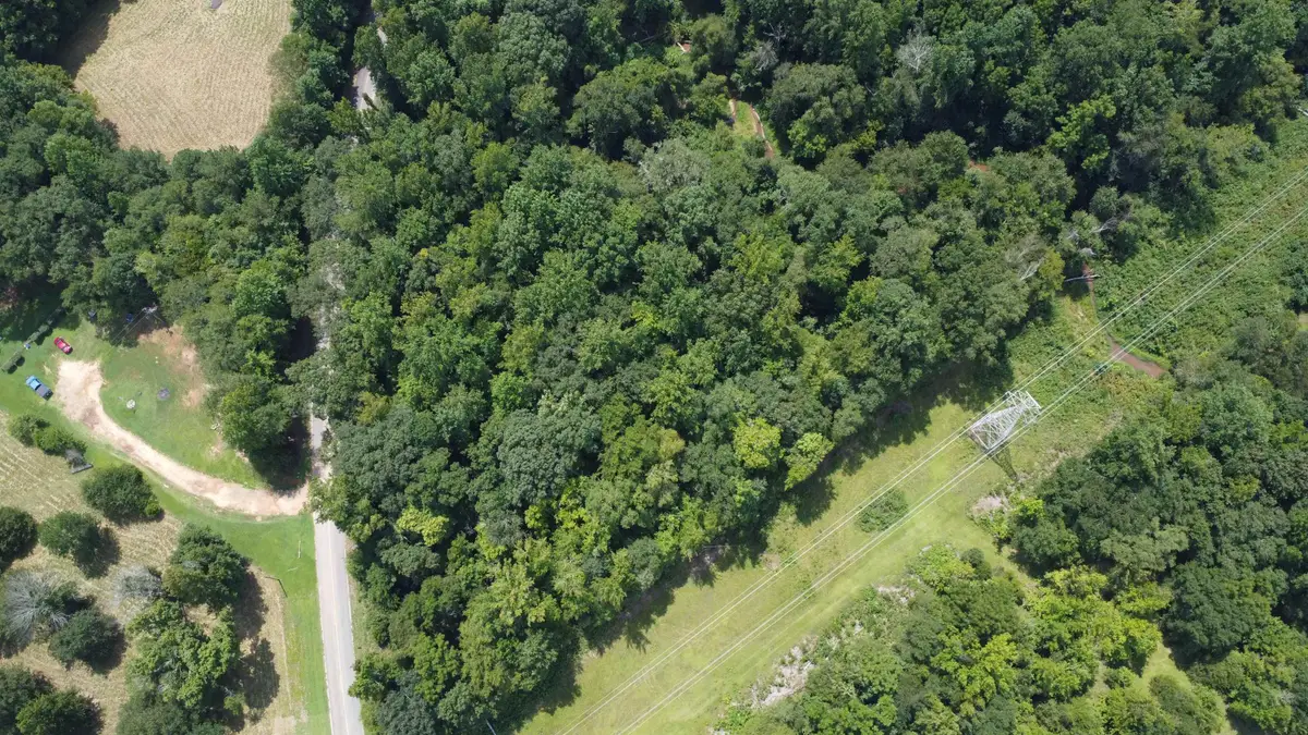 Tract C Dutch Creek Road, Pauline, SC 29374 - #1