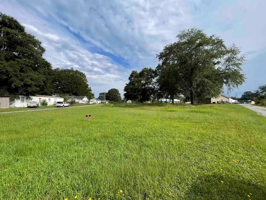 19 Stone Street, Inman, SC 29349 - #3