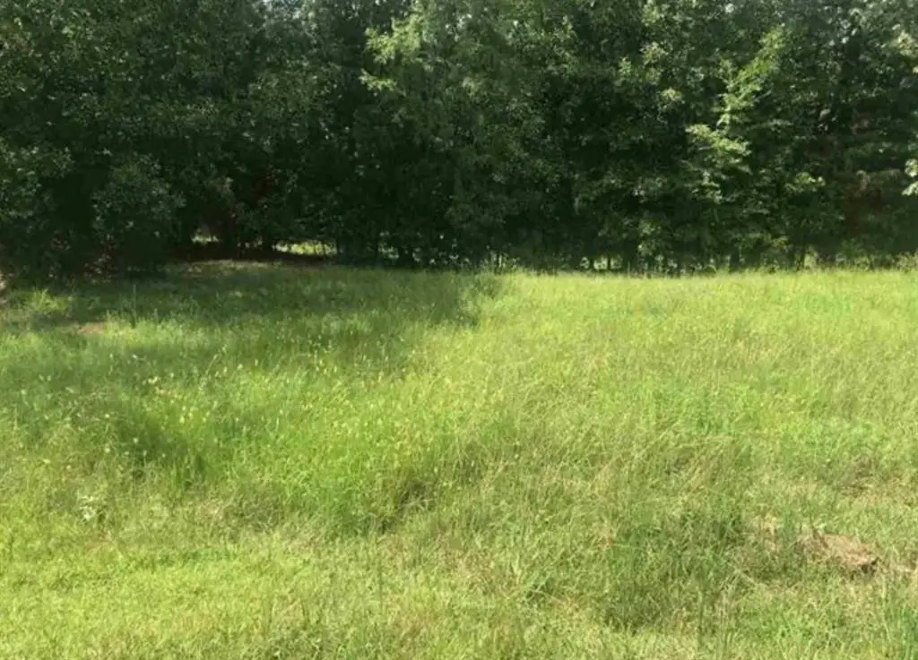 403 Bent Creek Road, Greenwood, SC 29649 - #1