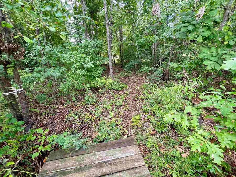 136 Heartleaf Way, Chesnee, SC 29323 - #3