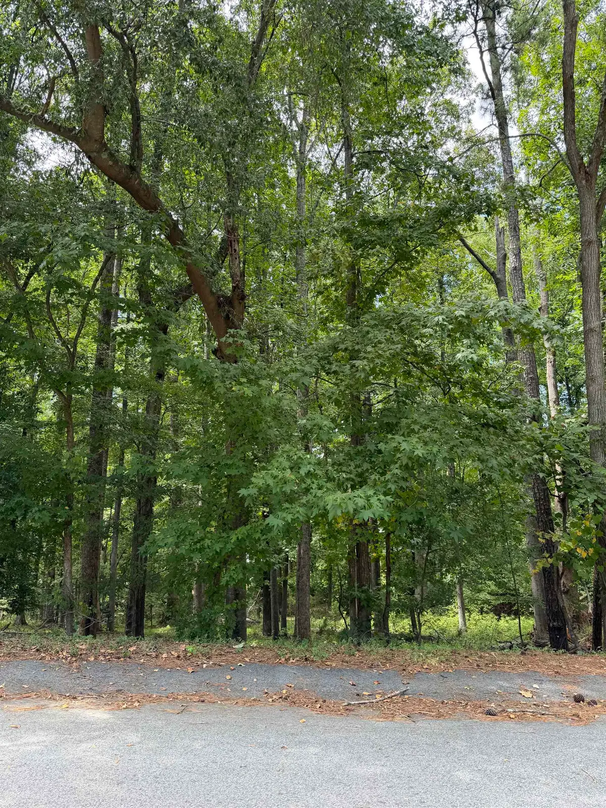 340 Valley View Drive, Woodruff, SC 29388 - #1
