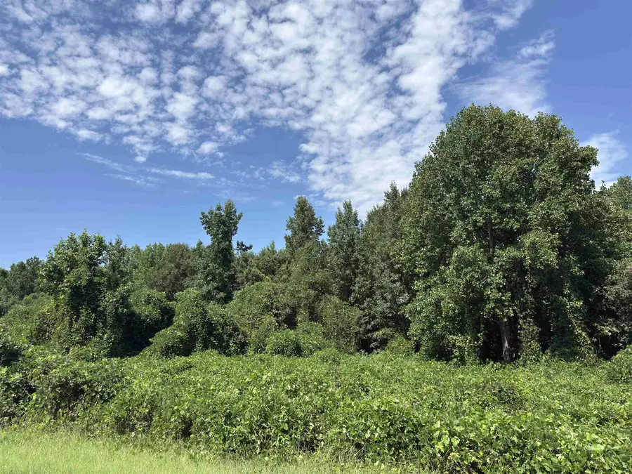 0 Corinth Road, Gaffney, SC 29340-5529 - #2