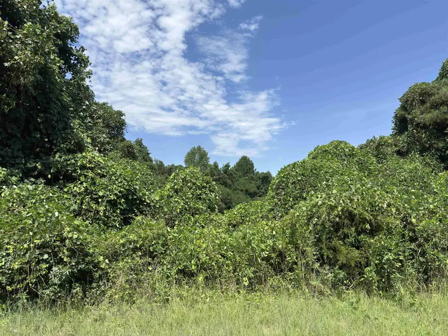 0 Corinth Road, Gaffney, SC 29340-5529 - #3