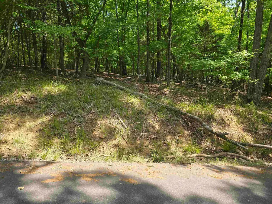 Lot 15 Cypress Drive, Clover, SC 29710 - #3