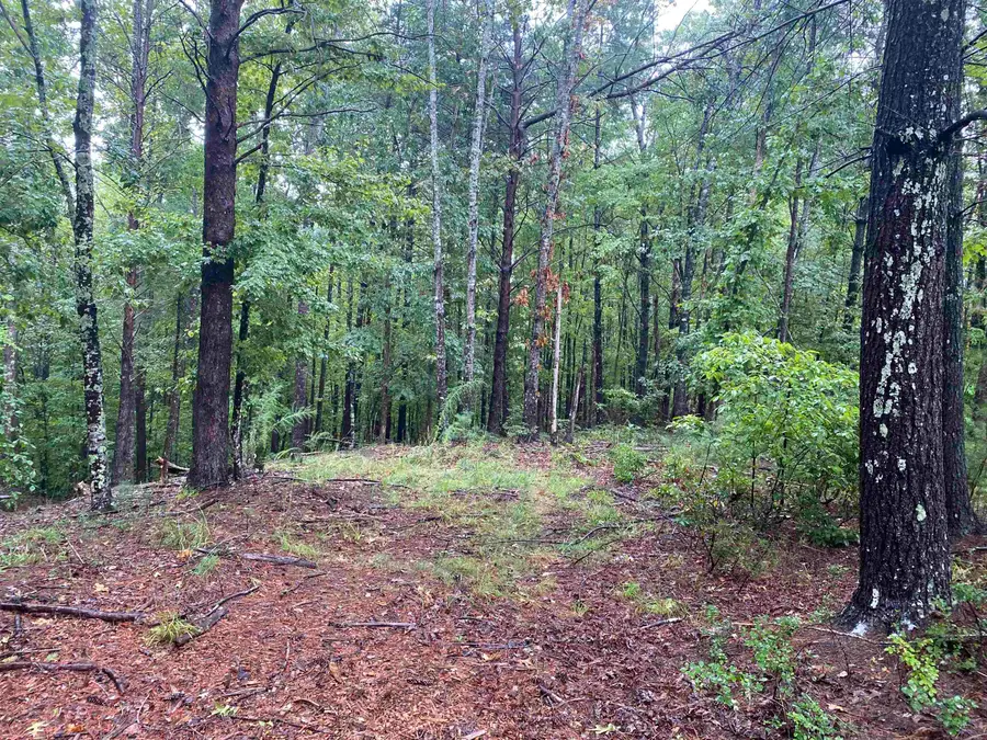 112 Wake Robin Drive, Sunset, SC 29685 - #3