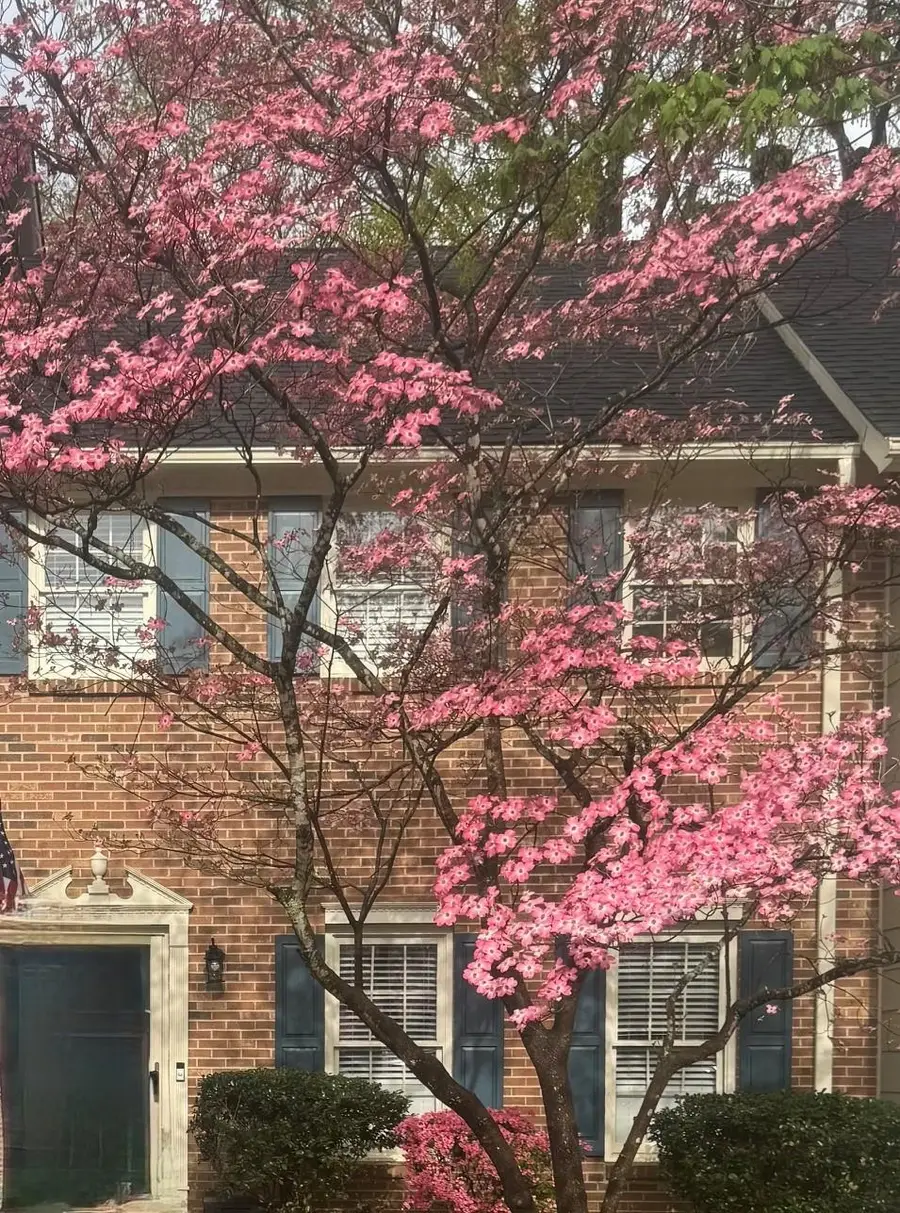 309 Woodburn Creek Road, Spartanburg, SC 29302 - #3