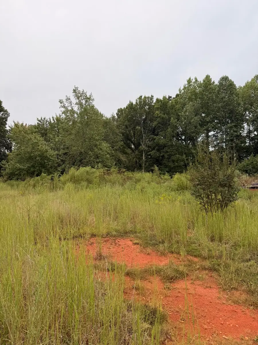 440 Fallings Waters Way, Greer, SC 29651 - #2