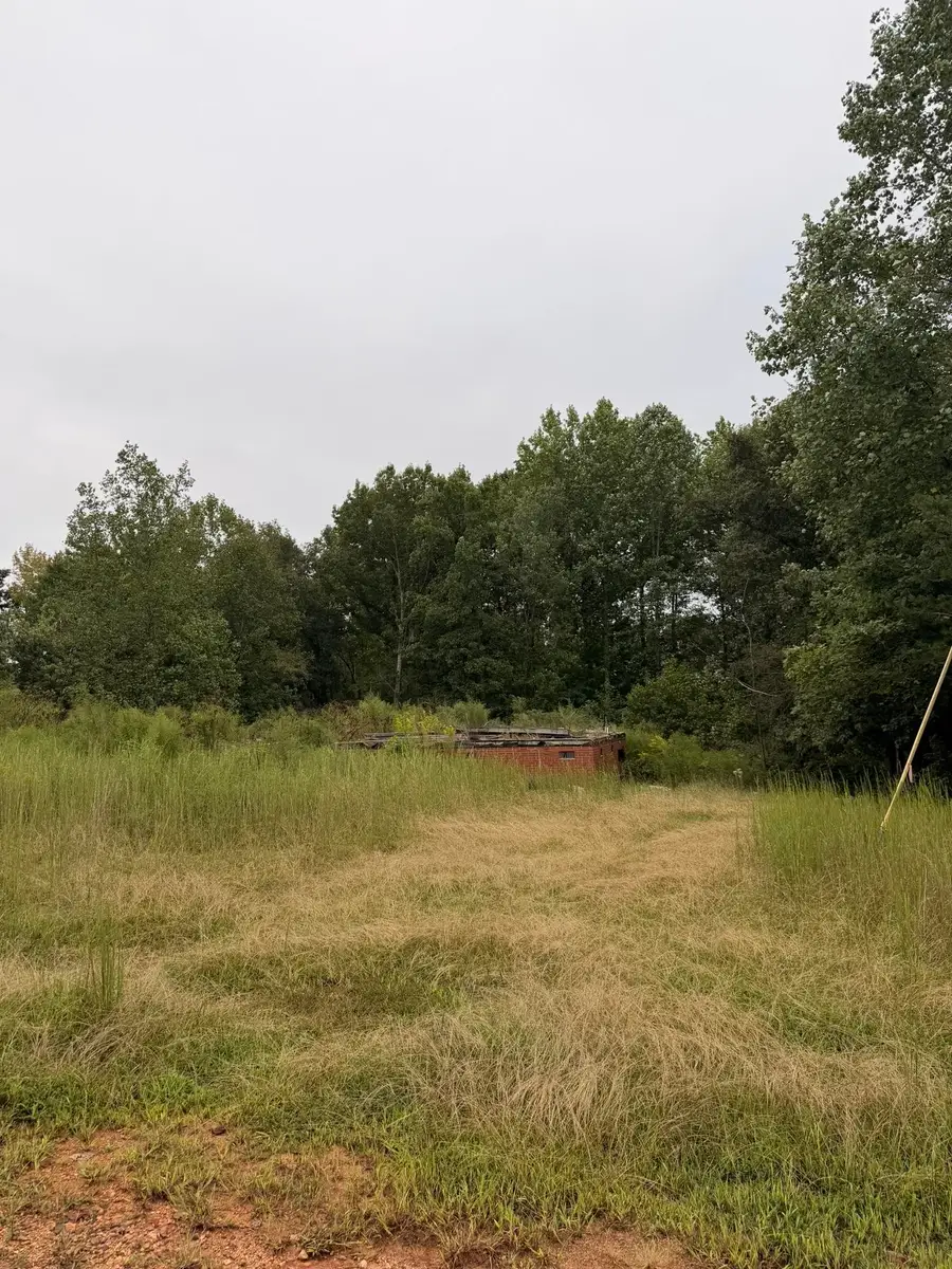 440 Fallings Waters Way, Greer, SC 29651 - #3