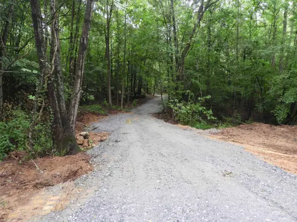 2109 Tract B Riddle Road, Pauline, SC 29374