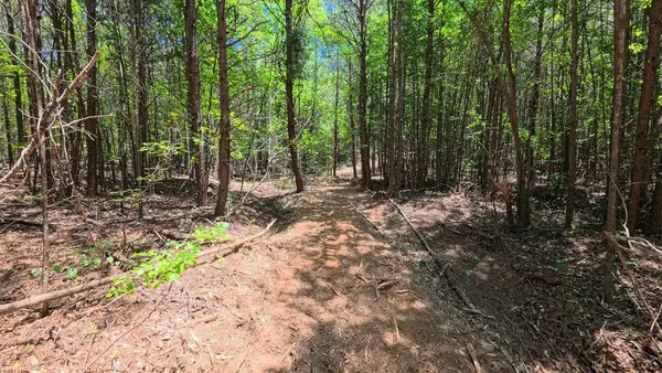 2109 Tract C Riddle Road, Pauline, SC 29374