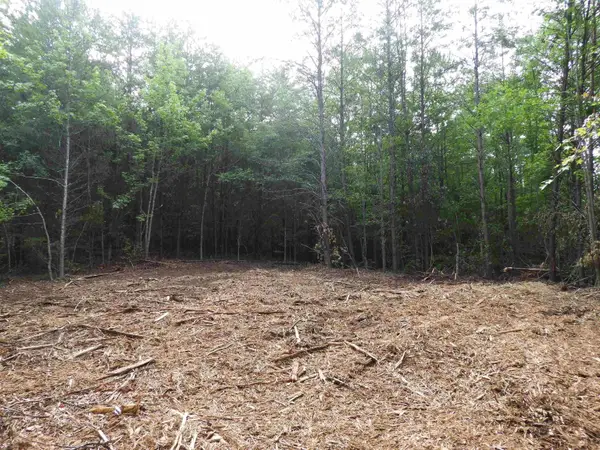 2109 Tract C&D Riddle Road, Pauline, SC 29374