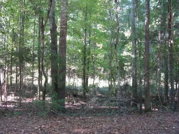 0 Gossett Rd, Woodruff, SC 29388