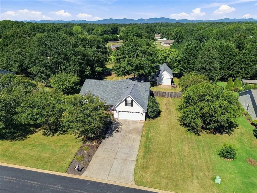 213 Henderson Meadow Way, Lyman, SC 29365 - #2