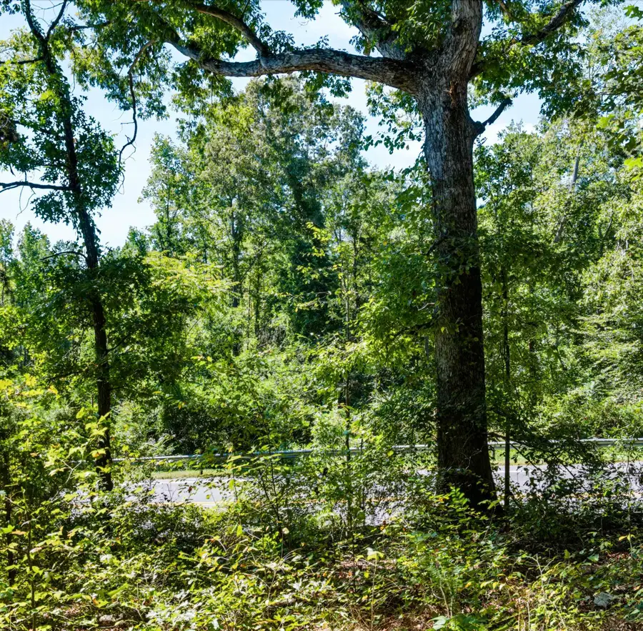 2861 Whitestone Glendale Lot E Road, Spartanburg, SC 29302 - #2