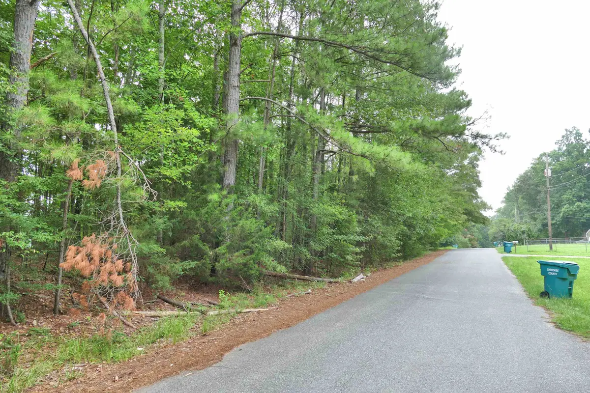 131 Tumbleweed Dr, Gaffney, SC 29340 - #1
