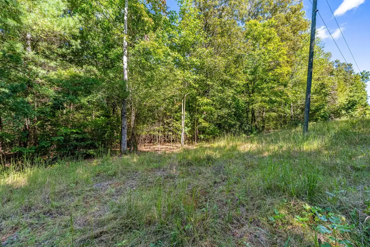 0 Singing Oaks, Mountain Rest, SC 29664 - #1