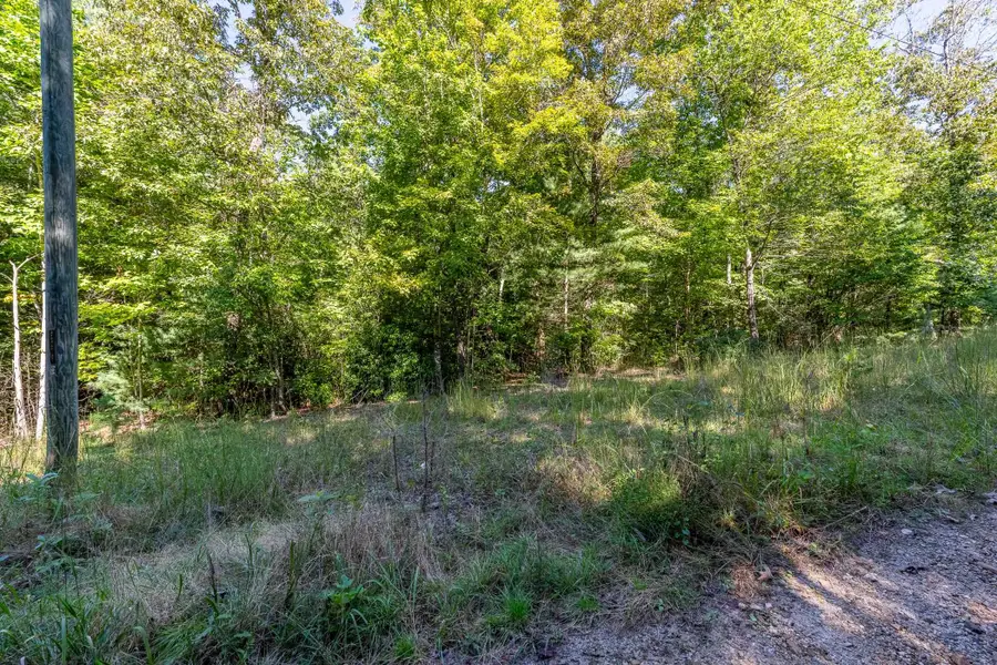 0 Singing Oaks, Mountain Rest, SC 29664 - #3