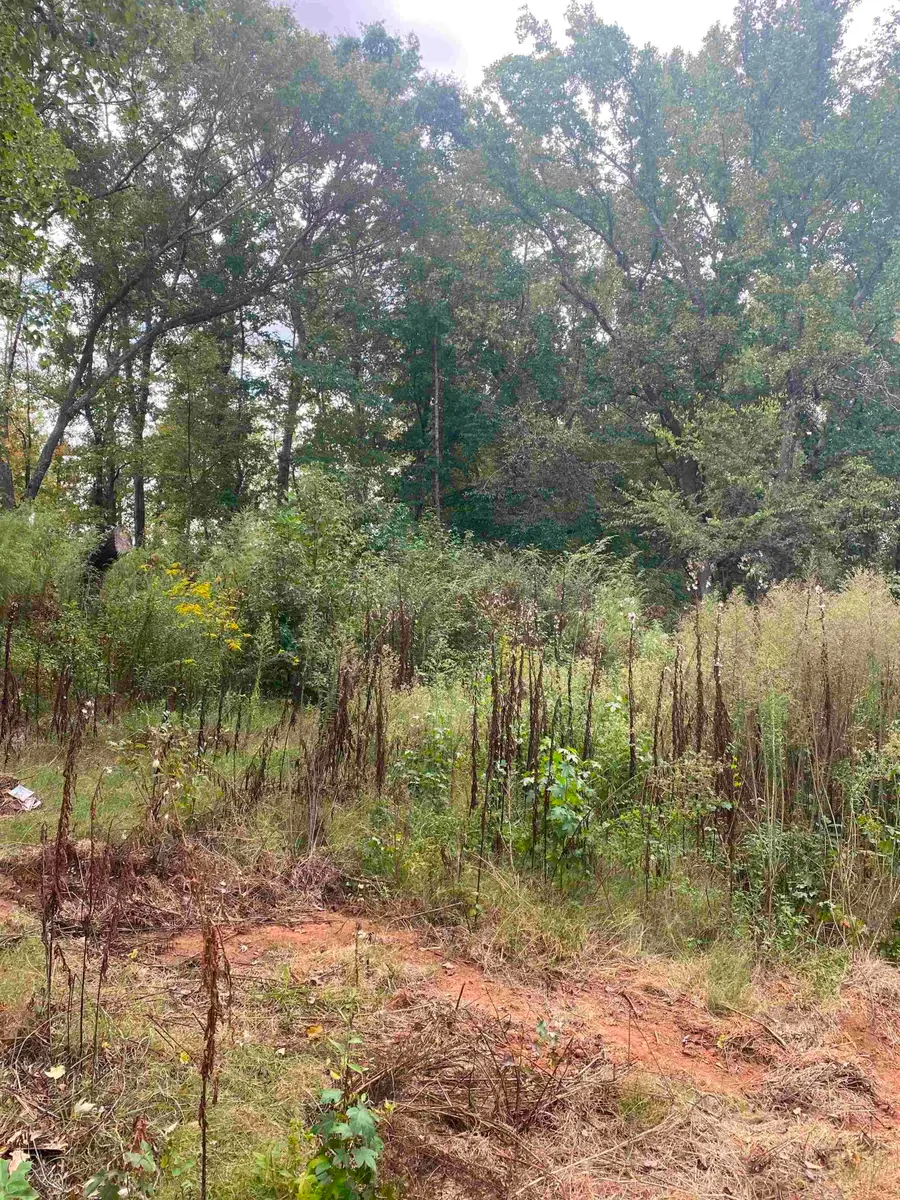 0 Burns Road, Greer, SC 29651 - #2