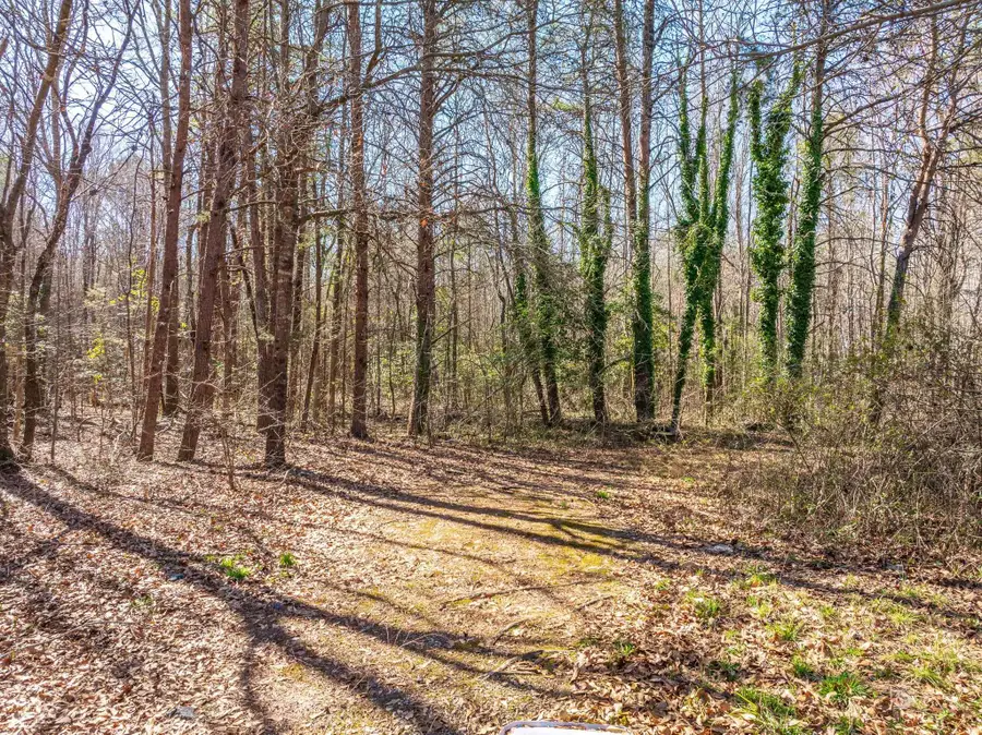 0 Brown Sanders Rd, Spartanburg, SC 29307 - #2