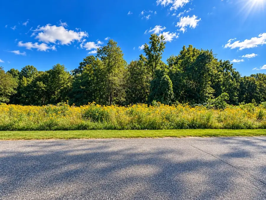 528 Wilkins Ford Road, Inman, SC 29349 - #2
