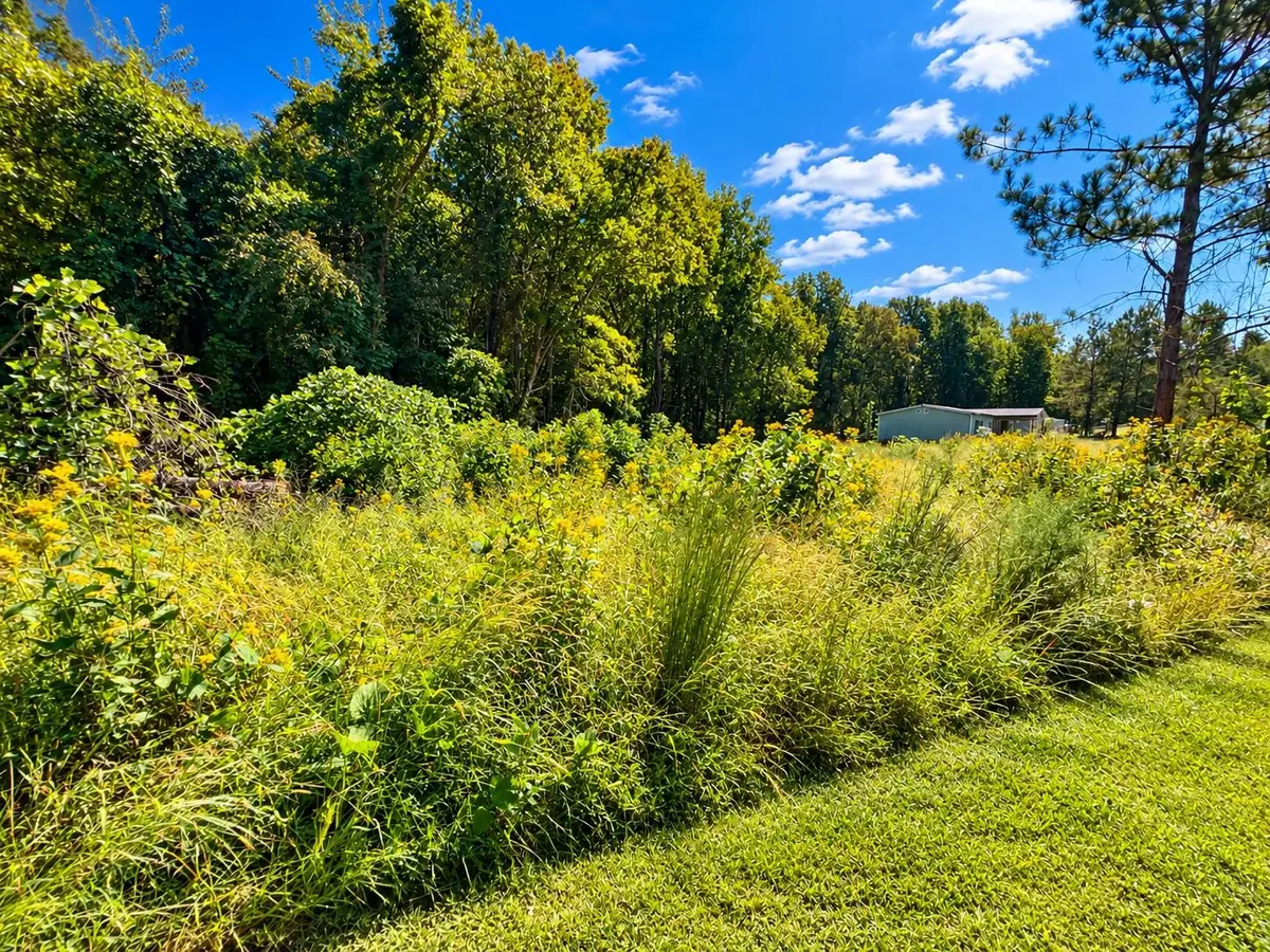534 Wilkins Ford Road, Inman, SC 29349 - #1