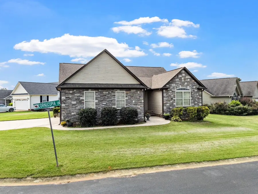 503 Cornucopia Lane, Inman, SC 29349 - #2