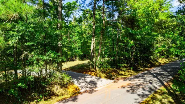 Tract A Lickville Road, Belton, SC 29627-8700