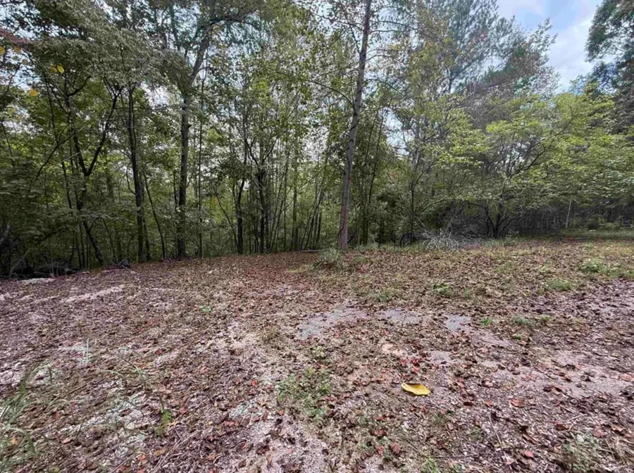 9000 U.s. 221 Highway, Woodruff, SC 29388 - #2