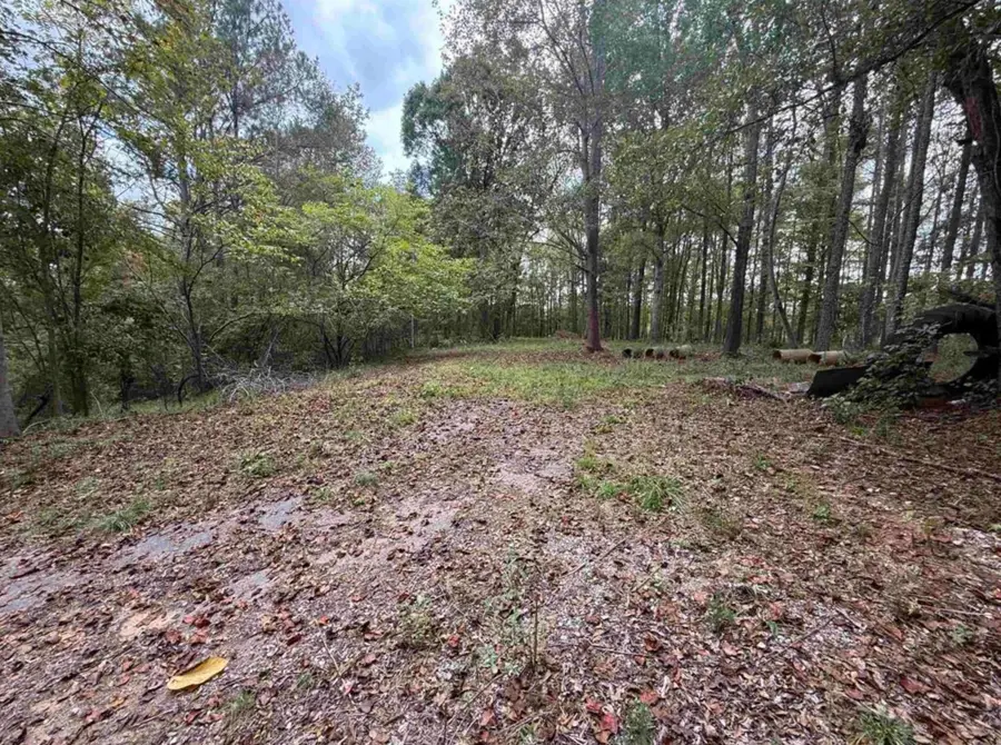 9000 U.s. 221 Highway, Woodruff, SC 29388 - #3