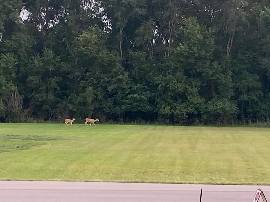 2700 Anthony, Mitchell, SD 57301 - #3